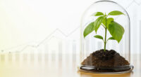 A visual metaphor of a small plant growing steadily and securely within a protective glass dome or a secure, stable environment, against a soft, bright background with subtle financial graphs.