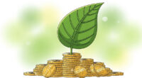 A green leaf growing from a stack of gold coins, symbolizing wealth and financial growth.